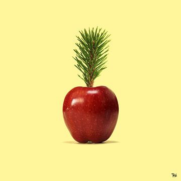Pine Apple - Konzeptionelle Fotoarbeit von Michel Rijk