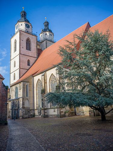 Lutherstadt Wittenberg - Mariakerk in Wittenberg