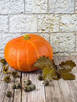 Herbstliches Stillleben