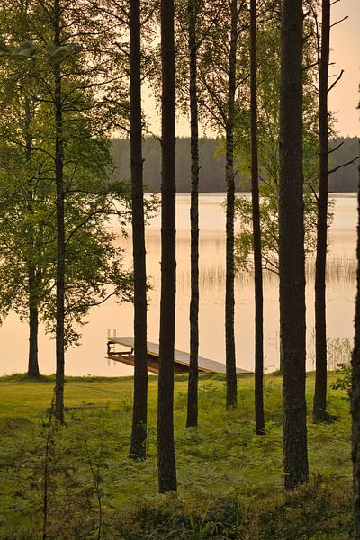 Sunlight floods the forest by the lake with huts, peaceful natural idyll by Martin Köbsch