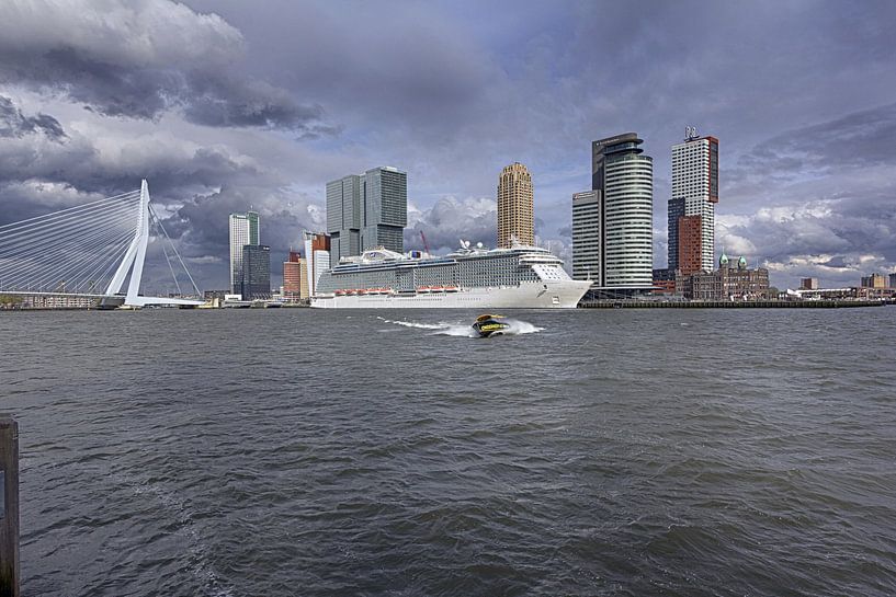 Regal Princess von Marcel Moonen @ MMC Artworks