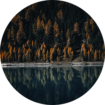 Moody herfstkleuren in de alpen. Bomen en bergmeer reflectie. van Hidde Hageman