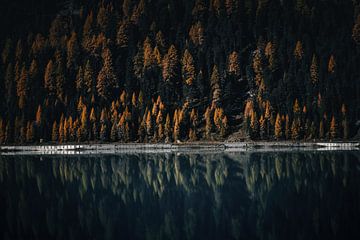 Moody herfstkleuren in de alpen. Bomen en bergmeer reflectie. van Hidde Hageman
