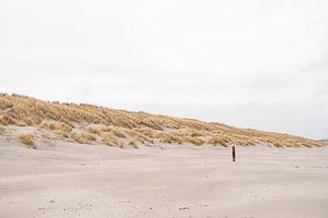 Ameland Dünen