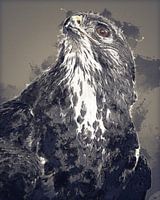 Portret van een buizerd - digital art versie
