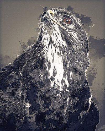 Portret van een buizerd - digital art versie