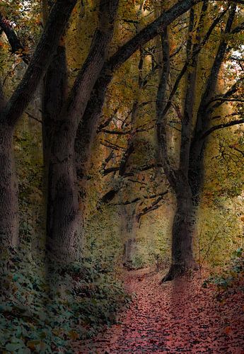 Renkums Beekdal part 15