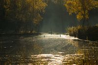 Natuurgebied de Teut in Zonhoven, Landschap in de herfst