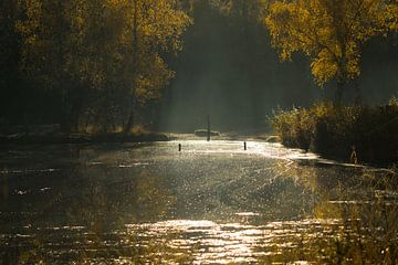 Natuurgebied de Teut in Zonhoven, Landschap in de herfst van Het Boshuis