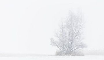 Winter Wonderland van Ivo Heus