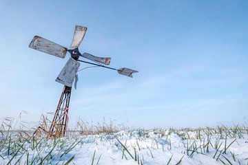 Windmolen in het weiland van Moetwil en van Dijk - Fotografie