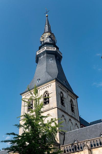 St Quintinus Cathedral by Richard Wareham