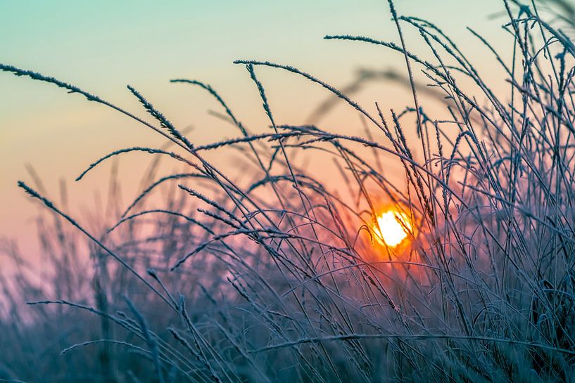 Winterse zonsopkomst van Evelyne Renske