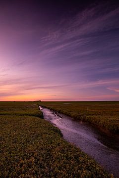 Kust Westerhever van Tim Studts