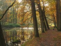 Mystiek herfstlandschap