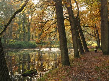 Mystical autumn landscape by Eline Ockhuysen