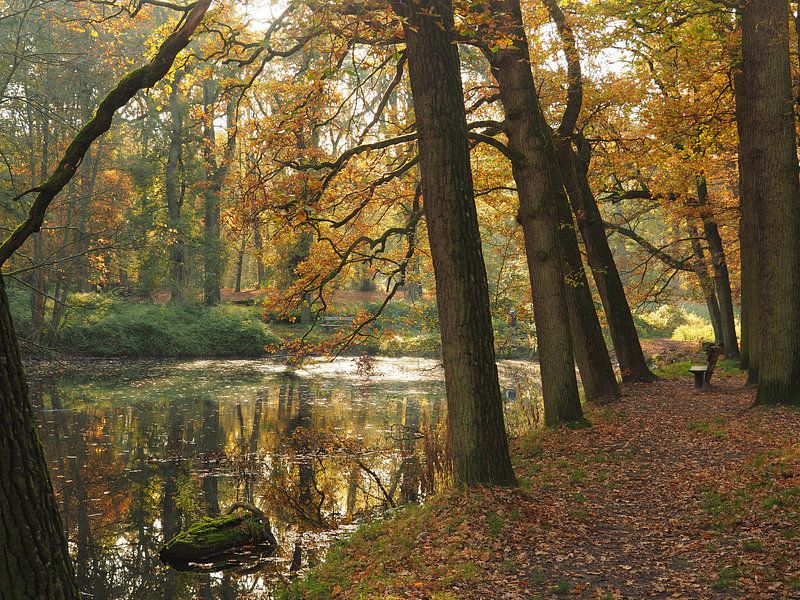 Mystical autumn landscape by Eline Ockhuysen