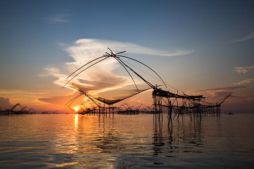Visnetten in de wetlands van Phattalung, Thailand