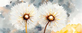 Löwenzahn mit Flusenbällen /Löwenzahn