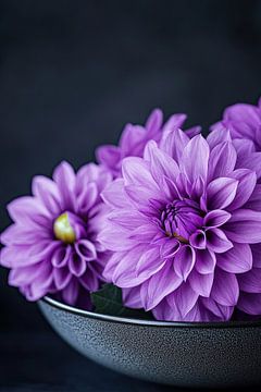 Purple Dahlia composition