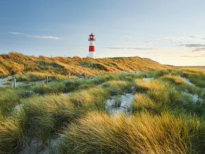 Sylt III by Rainer Mirau