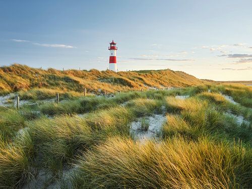 Sylt III