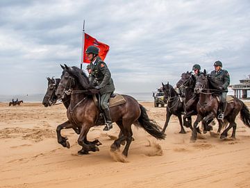 Cavalerie sur Cees Petter