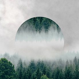 Bomen verstopt in laaghangende mist van Tom IJmker