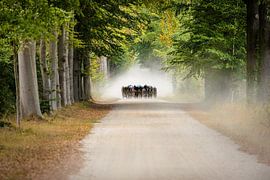 Tour of the Achterhoek - Holland Cup by Herbert Huizer