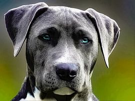 Zuhause ist, wo meine Hunde sind von Truckpowerr