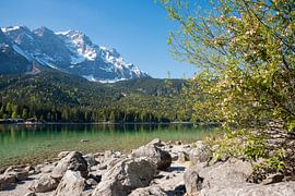 blooming apple tree at rocky lake shore Eibsee, view to famous Z by SusaZoom