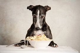 Pasta! Windhund von Nuelle Flipse