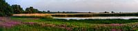 Wiese am Fluss