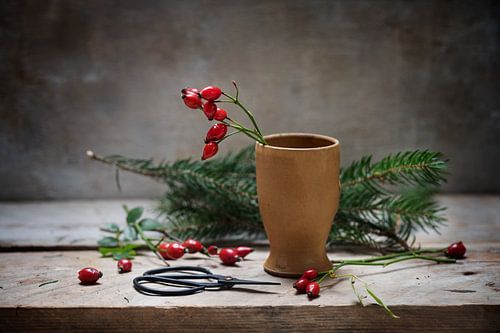 preparing natural christmas decoration with rose hips in a stoneware vase and fir branches and sciss