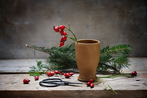 Vorbereitung eines natürlichen Weihnachtsschmucks mit Hagebutten in einer Vase aus Steingut und Tann