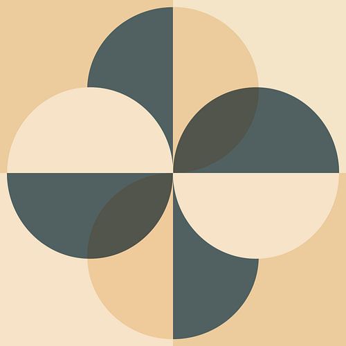 Scandinavische Retro Abstractie