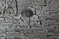Kunst in het oude houtwerk von Marcia van de Bovenkamp Miniaturansicht