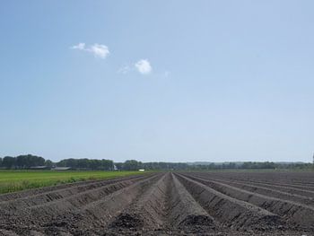 Geploegde akker bij Tuitjenhorn