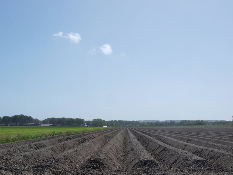 Gepflügtes Feld bei Tuitjenhorn von Rinke Velds