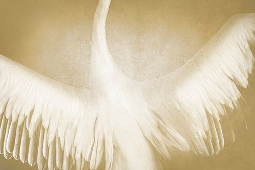 Zwevende Warmte Vleugels in Gouden Gloed