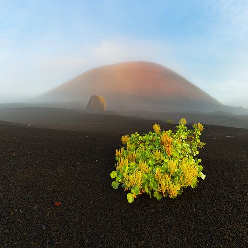 Zonsopgang op Lanzarote