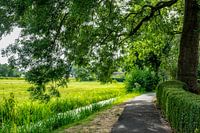 Puur natuur in Giethoorn