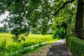 Puur natuur in Giethoorn van R Luimes