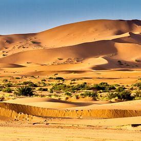 Sahara Woestijn Landschap  van Mario Brussé Fotografie