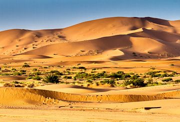 Sahara Woestijn Landschap  van Mario Brussé Fotografie