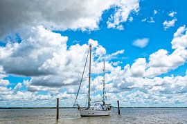 Zeiljacht op de Surinamerivier van Michel Groen