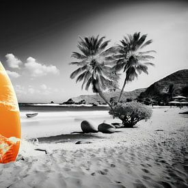 Beach Vibes: Oranje Surfplank in Zwart-Wit van Christian Ovís