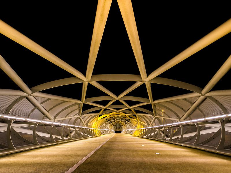 Netkous Brug, A15, Rotterdam von Art By Dominic