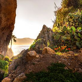 Costa del Sol landscape by Voss photography