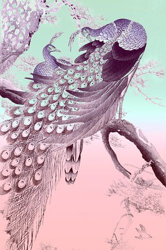 Vintage Pauw op Pastel Schilderij